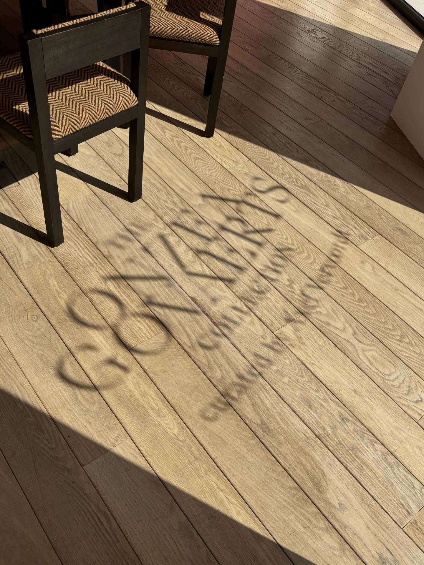 Sunlight casts a shadow of two chairs and a plant with leaves on a wooden floor near a window.